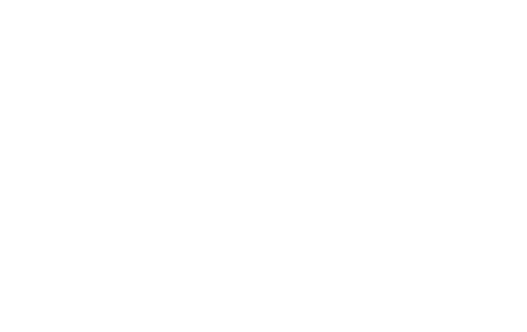 Capturing connections, building the future.